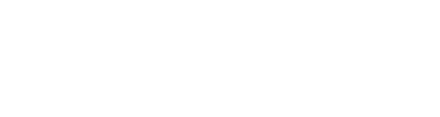 Alessandro Steffan