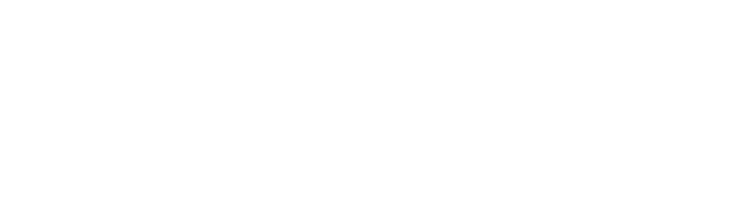 Alessandro Steffan